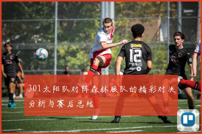 301太阳队对阵森林狼队的精彩对决分析与赛后总结