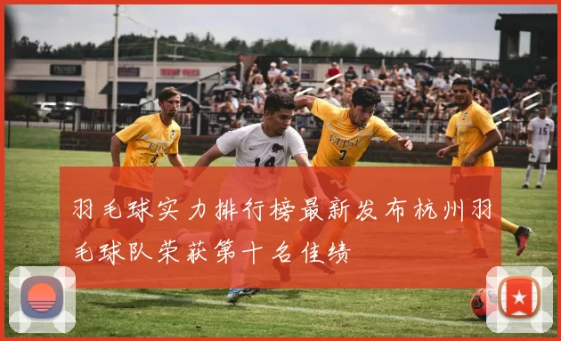 羽毛球实力排行榜最新发布杭州羽毛球队荣获第十名佳绩