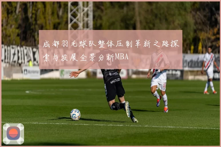 成都羽毛球队整体压制革新之路探索与发展全景分析MBA